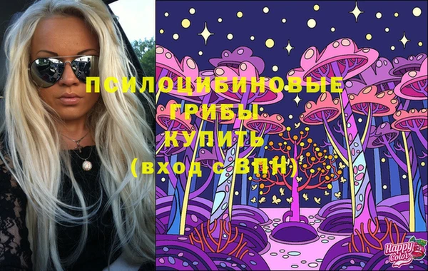кристаллы Гусь-Хрустальный