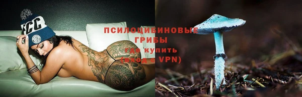 кристаллы Гусь-Хрустальный