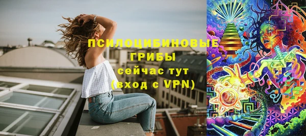 прущие крисы Гусиноозёрск