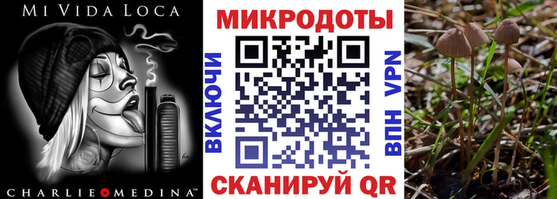 Купить где  Канск  Галлюциногенные грибы Magic Shrooms 